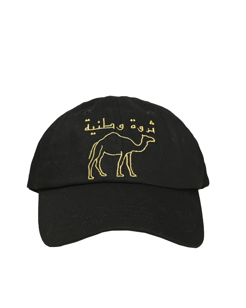 "National Treasure" Cap