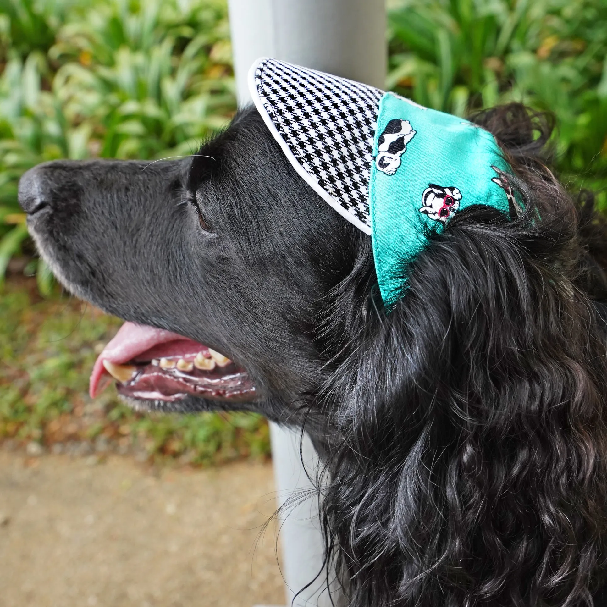 Unisex Walking Cap - Green Frenchie